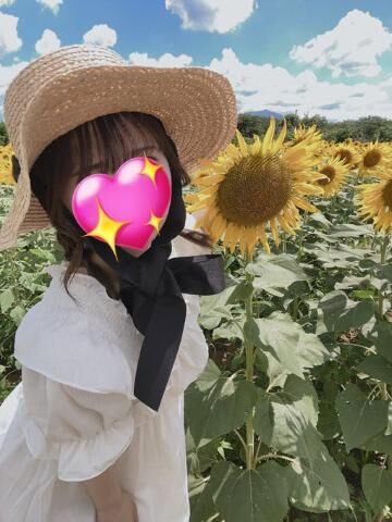 ひまわり畑♪
