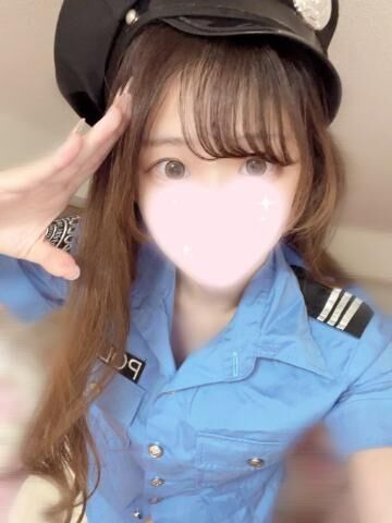 タイホしちゃうぞ