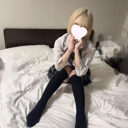 こんにちわん