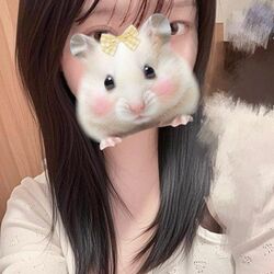 本日出勤します