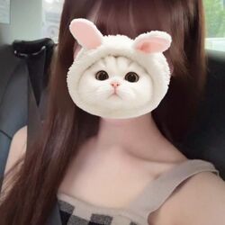 遊びに来て~♪