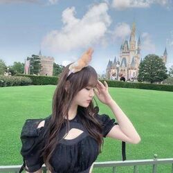 この間、、